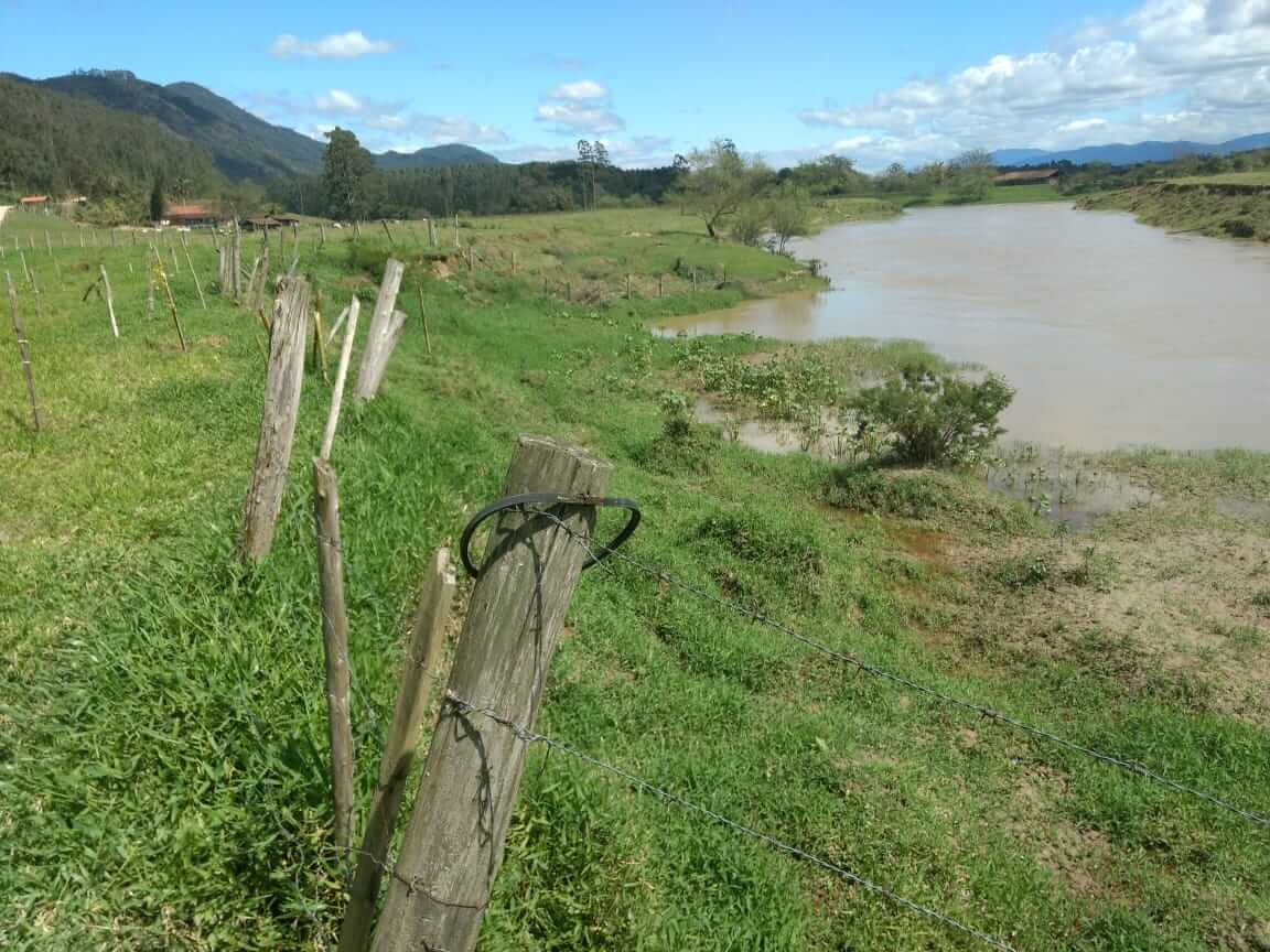 Pacto pela Mata Ciliar reúne esforços para recuperar áreas degradadas na Bacia do Rio Tijucas