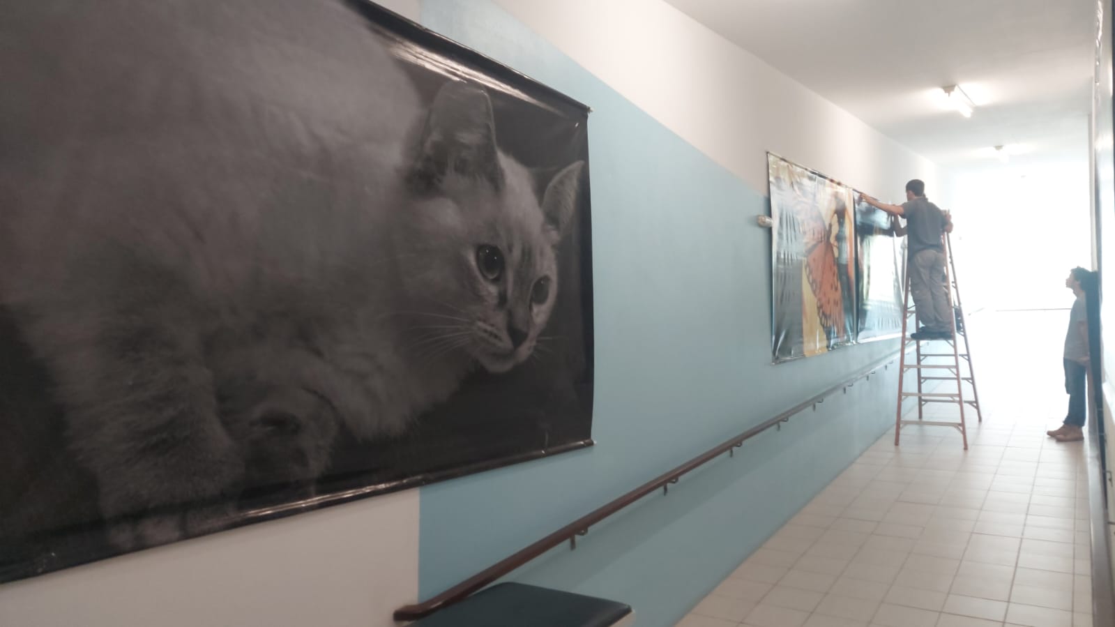 “Olhares, recortes”: exposição de fotos permanente no campus da Univali