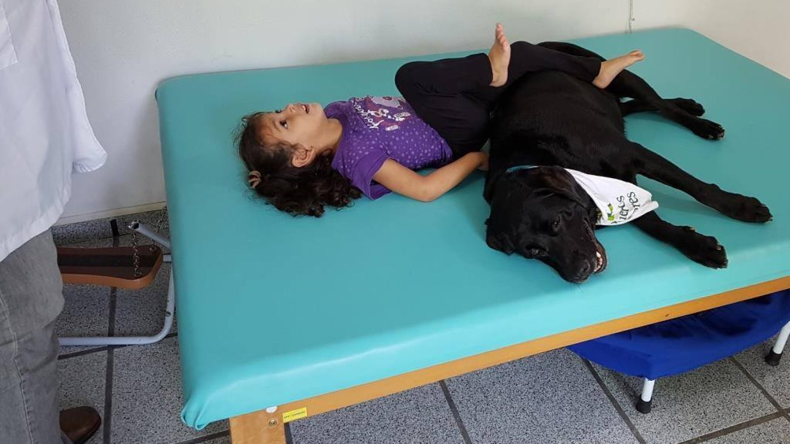 Terapia assistida por animais