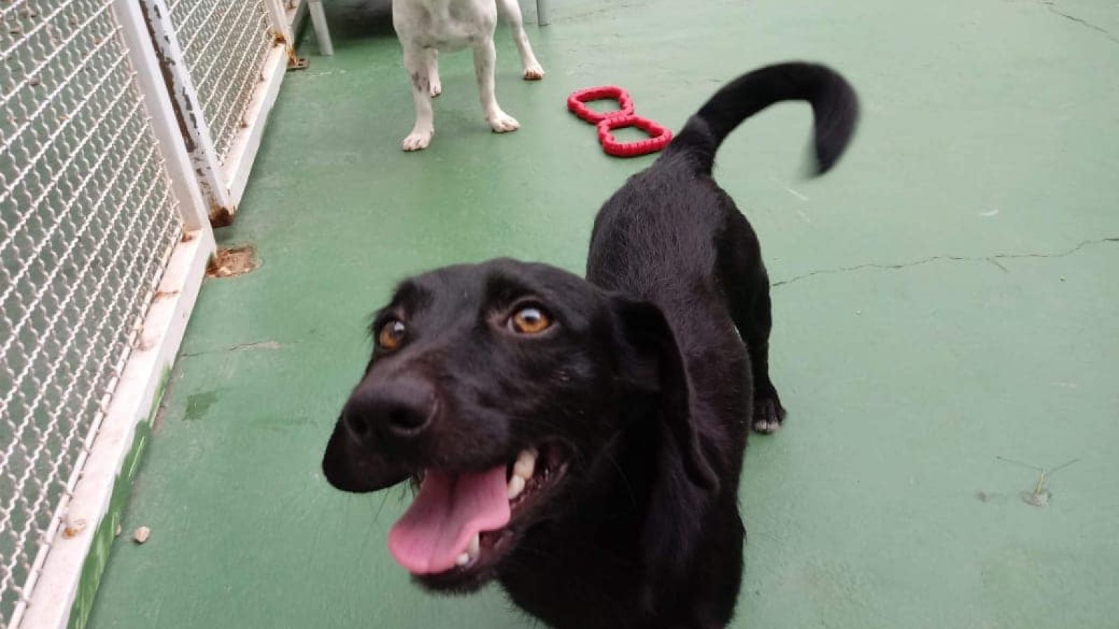 96283969_2927465134012550_6925072398962130944_o