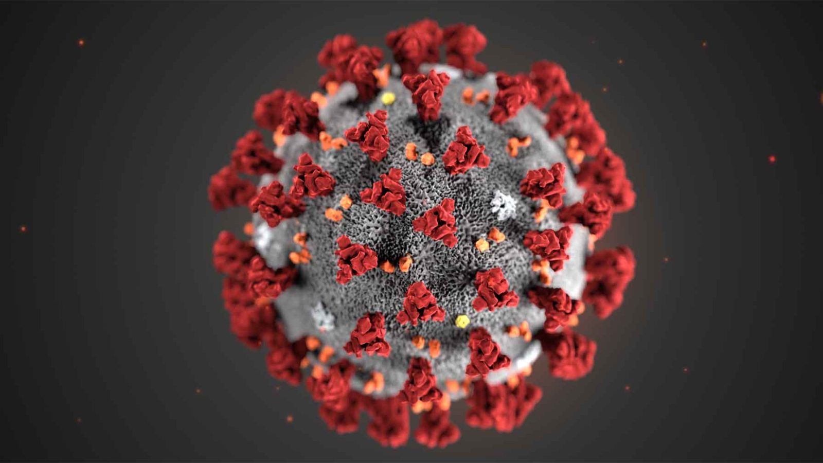 Coronavirus