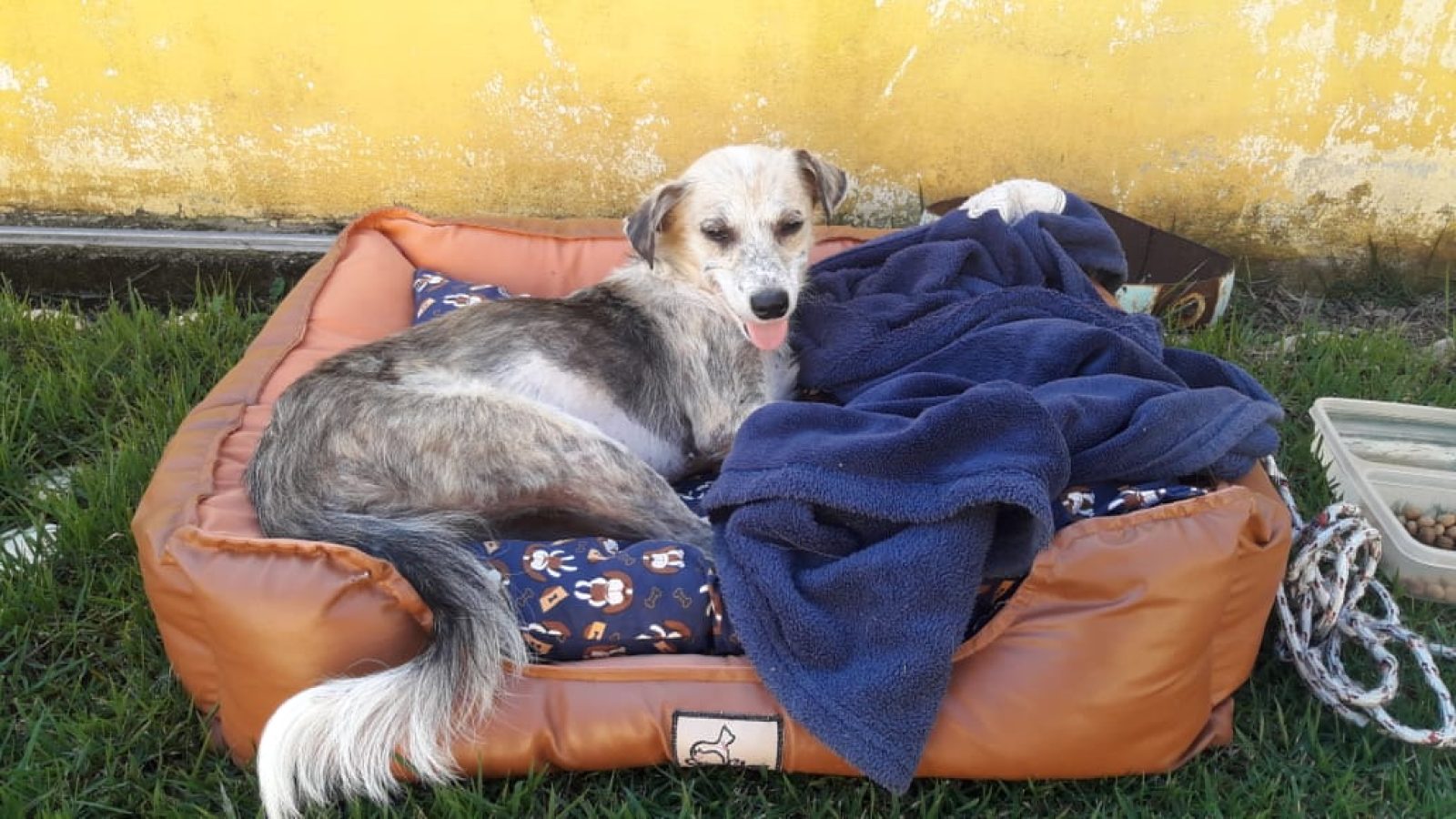 Diana-no-lar-temporário