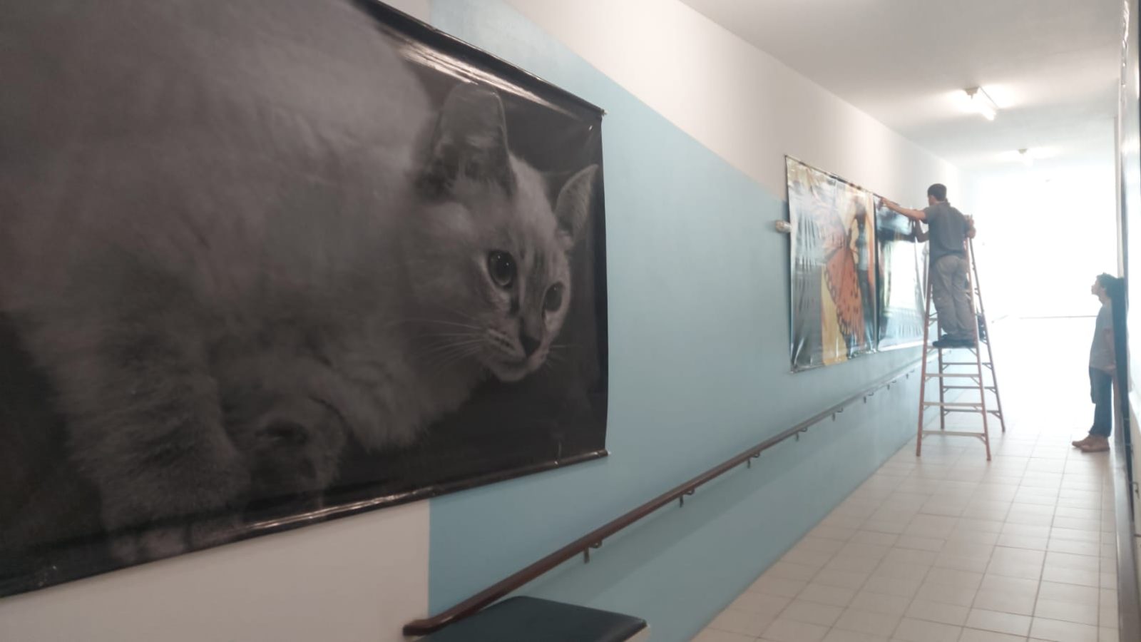 Finalização do projeto "Recortes, olhares". Foto: Lucas Correia