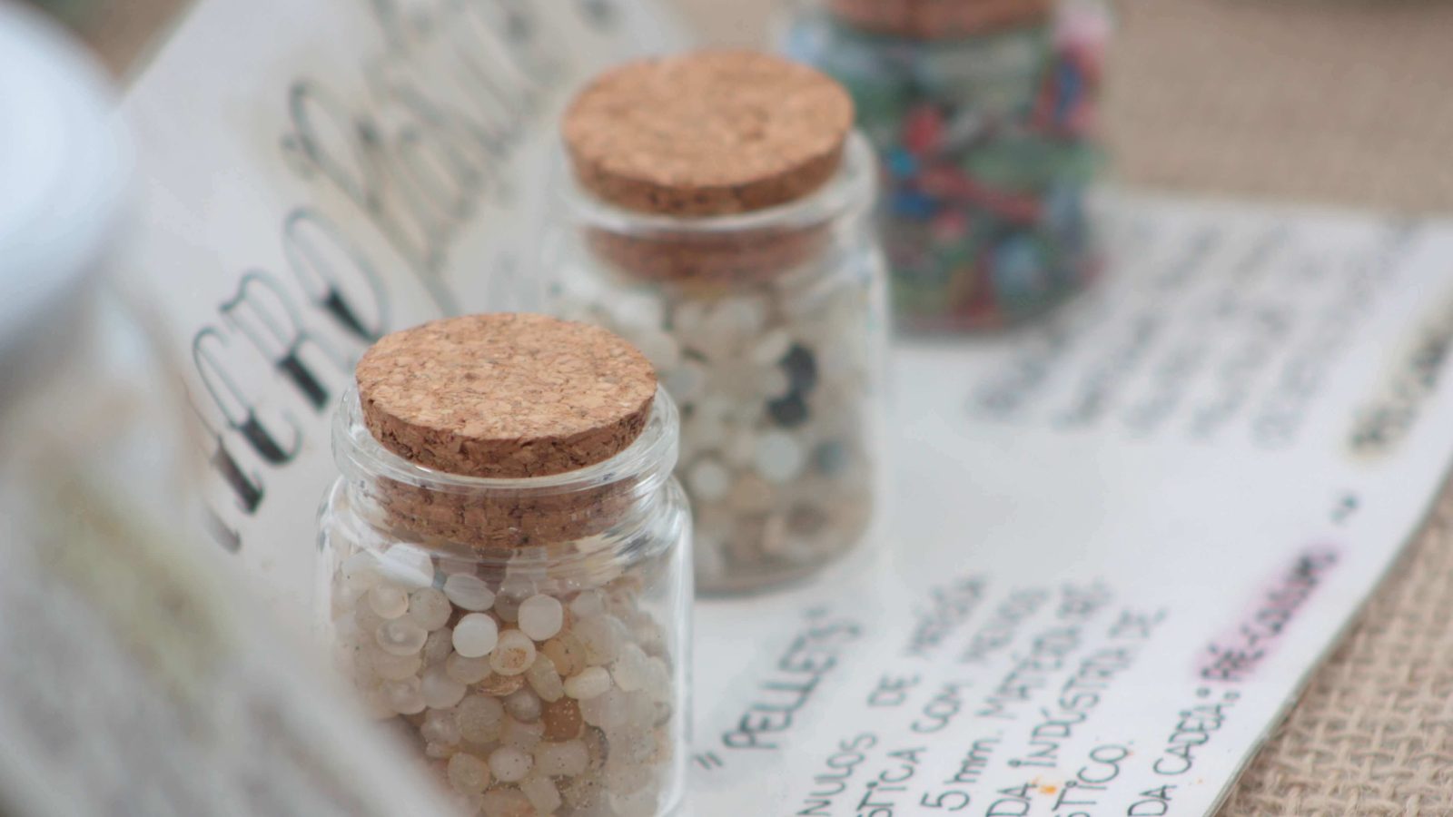 Fórum Municipal Lixo Zero de Itajaí | Foto: Marcos Porto