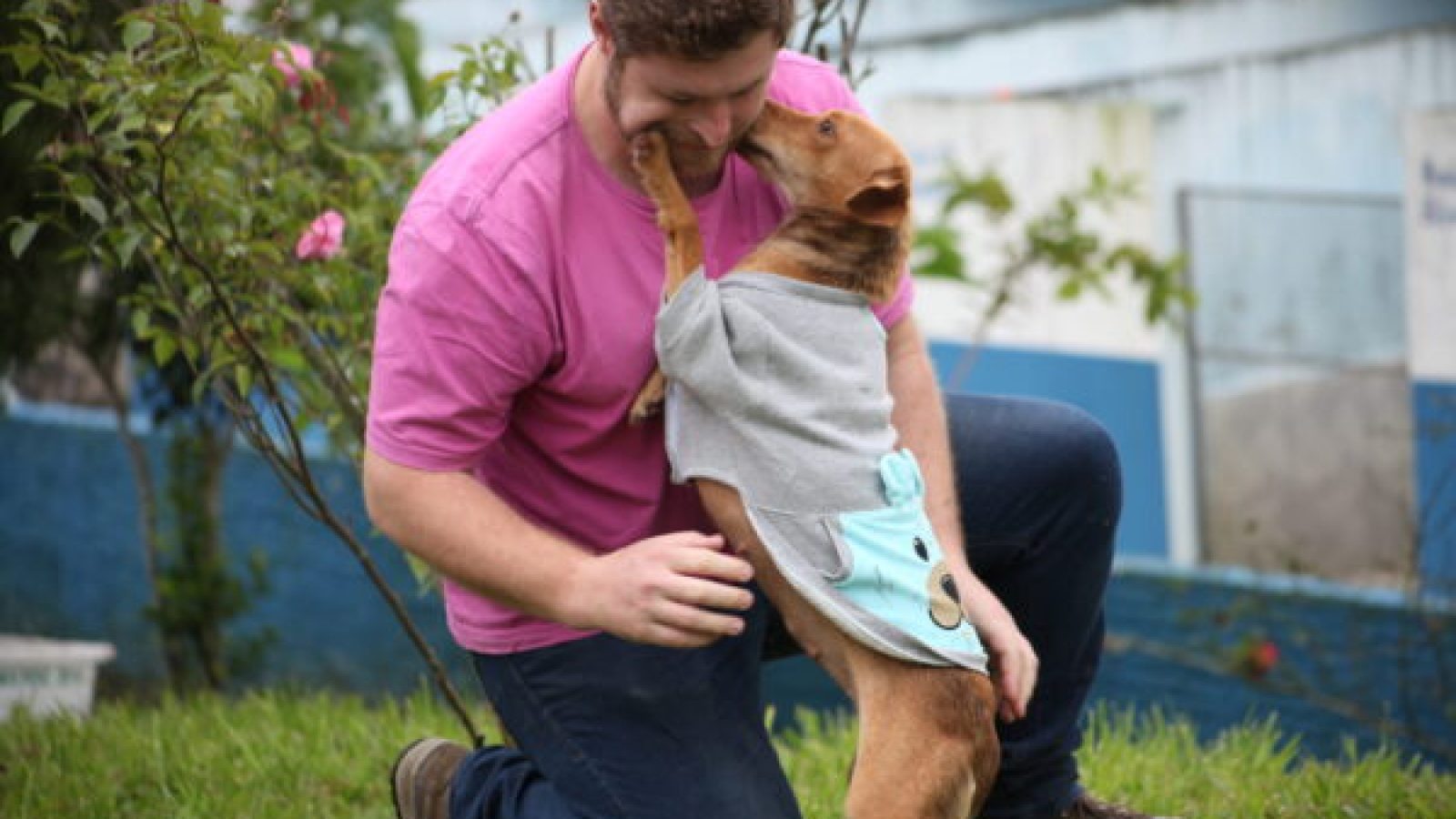 UAPA promove feira de adoção de animais neste sábado (05)_123334