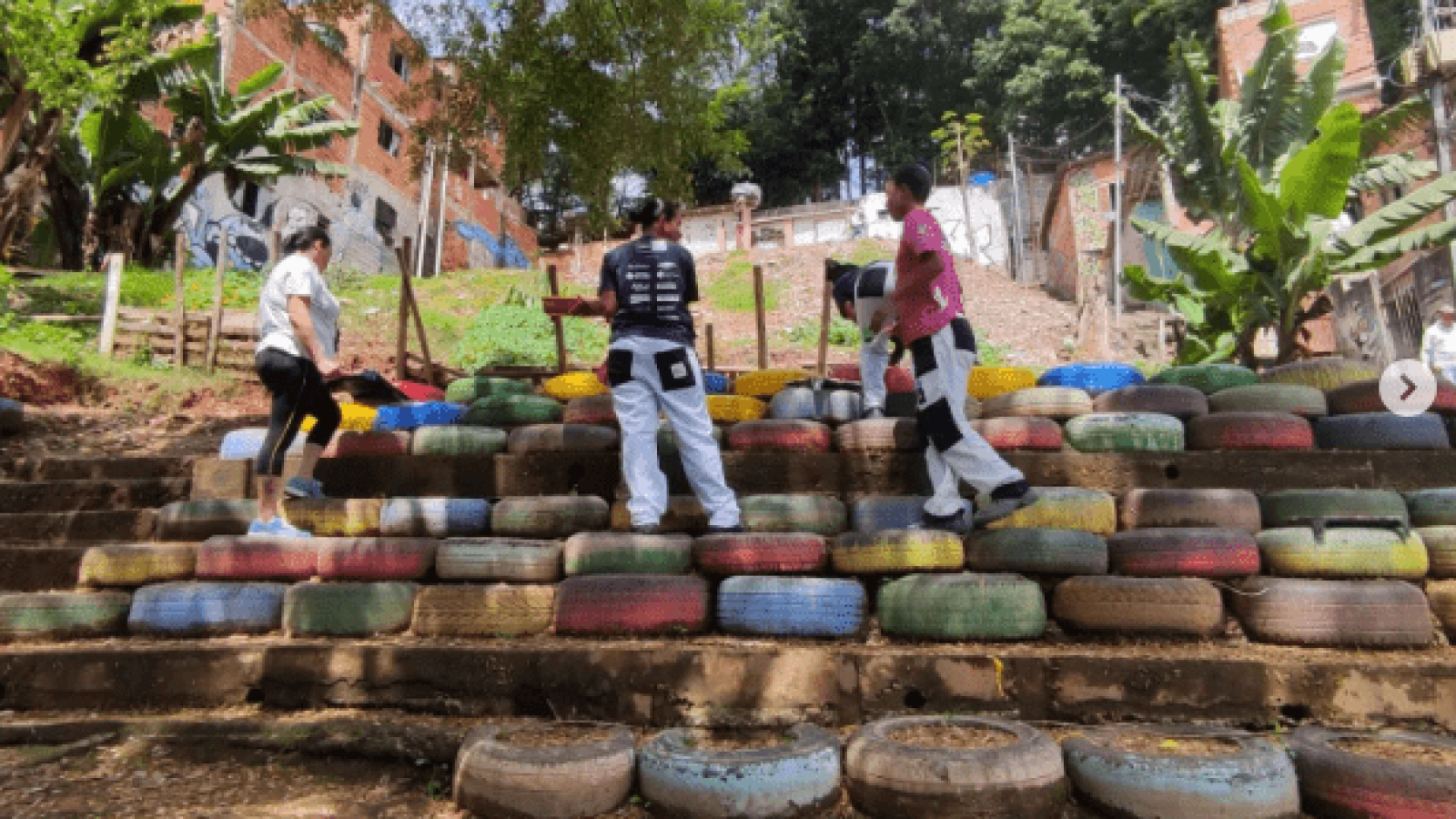 conexões criativas, fazendinhando