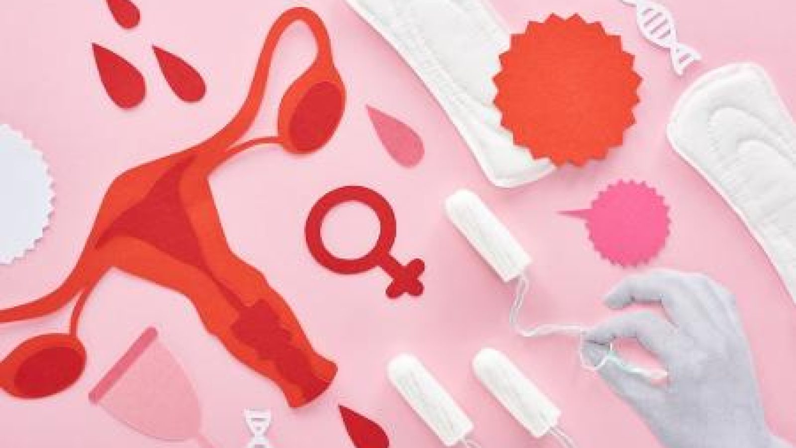 pobreza-menstrual-menstruacao-absorventes-1631712107251_v2_450x337